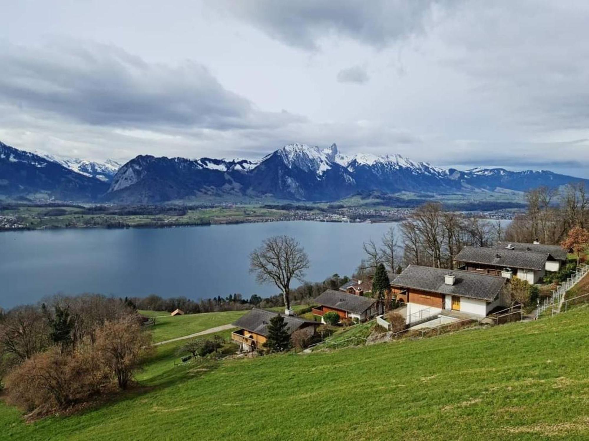 זיגריזוויל Chalet With View Of The Mountains And The Thun Lake מראה חיצוני תמונה